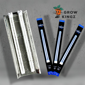 TCL Neonröhre Wachstum