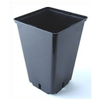 Topf, viereckig, schwarz, 16 x 16 x 23,5 cm, 4 L