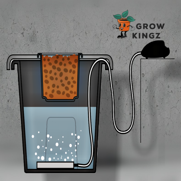 PLANT!T aeros I System, DWC-System mit Belüftungspumpe
