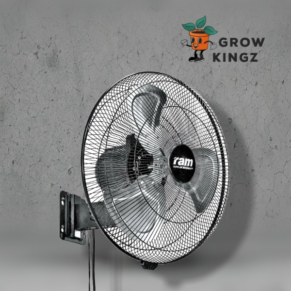 RAM Heavy Duty Wall Fan, 450 mm, 100 W