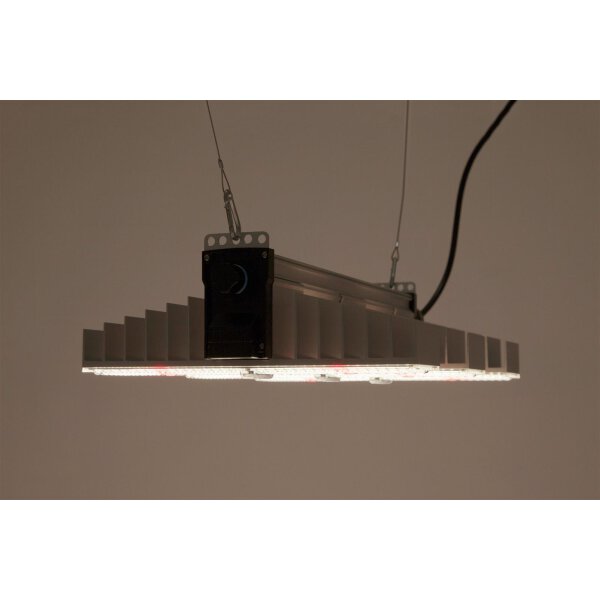 SANlight EVO 3-60 | 190W