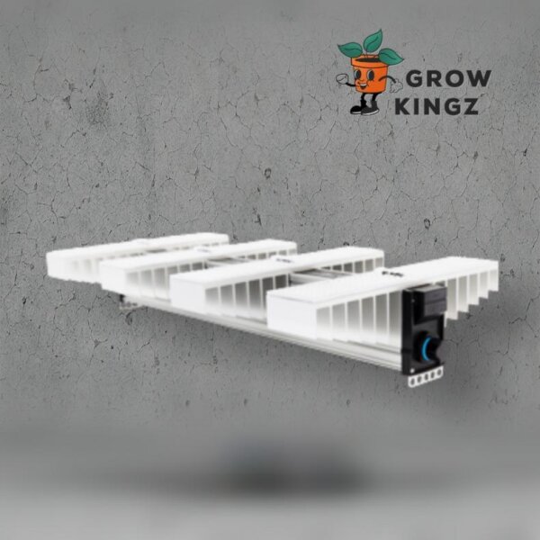 SANlight EVO 4-80 | 250W