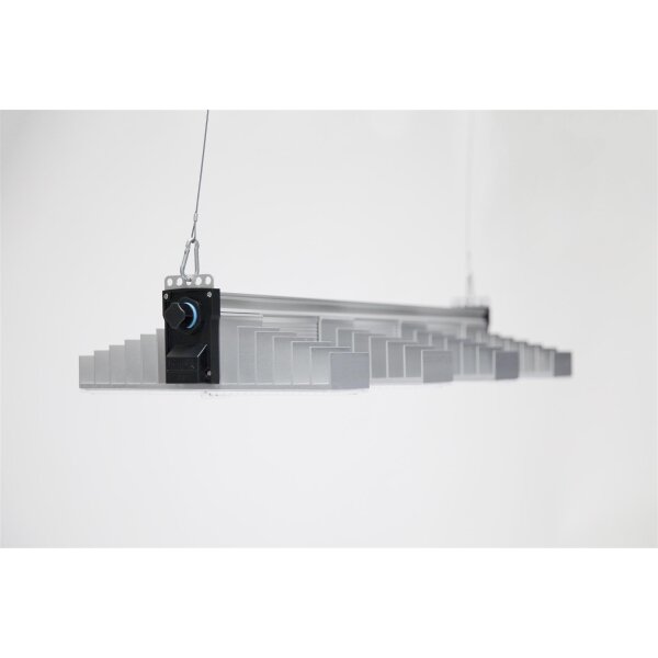 SANlight EVO 4-80 | 250W