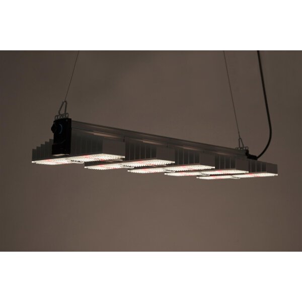 SANlight EVO 5-100 | 320W