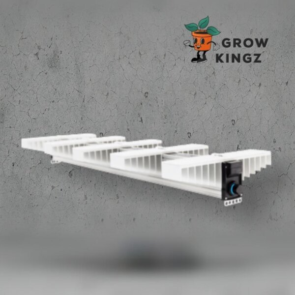 SANlight EVO 5-120 | 320W