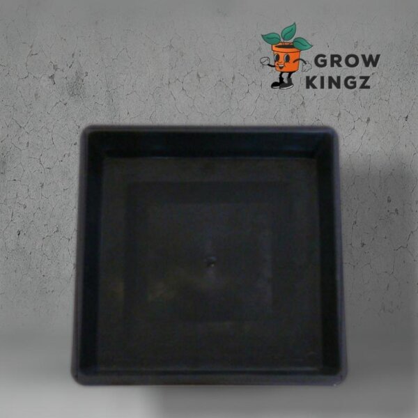Homebox 100x100x220 cm Growbox Set LED Lumatek ATS 300W Pro