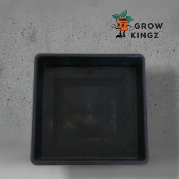 Homebox 120x120x220 cm Growbox Set LED Lumatek Zeus 465W PRO 2.9