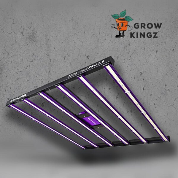 Homebox 150x150x220 cm Growbox Set LED Lumatek ZEUS 600W PRO 2.9