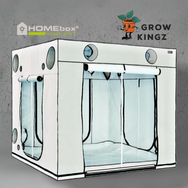 Homebox 240x240x220 cm Growbox Set LED 4x Lumatek ZEUS 465W PRO 2.9