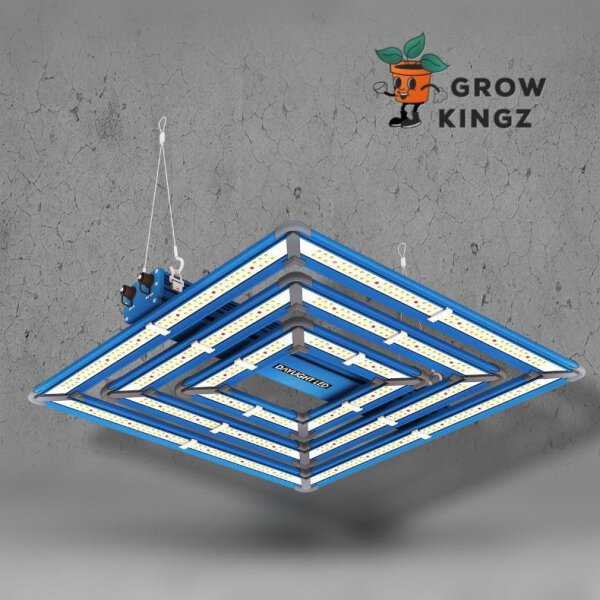 Maxibright Daylight LED 300 W Pro 2,5 µmol/J 750 µmol/s