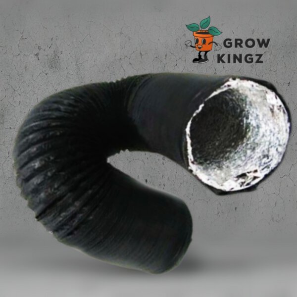 Homebox DryBox Set HomeLab 120 L 240x120x200