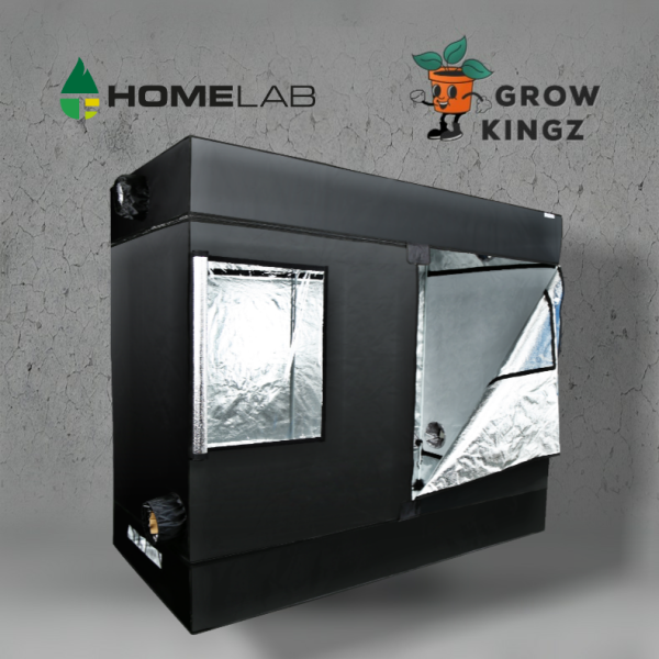 Homebox DryBox Set HomeLab 120 L 240x120x200