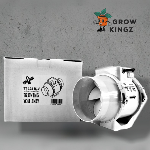 Homebox DryBox Set HomeLab 120 L 240x120x200