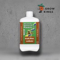 Advanced Hydro Growth + Bloom Excellerator 1l