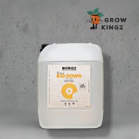 BioBizz Bio pH- 10 L
