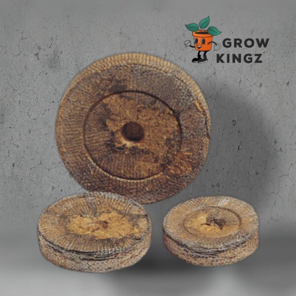 Jiffy Quelltopf 1Stk