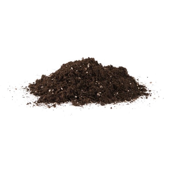 Plagron Lightmix mit Perlite 50L