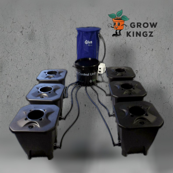 IWS Deep Water Culture System 6 POT inkl. Flextank 100l
