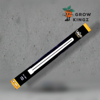 Taifun TCL | 36 W | 2700K